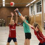 2016_01_23 Landesliga Frauen